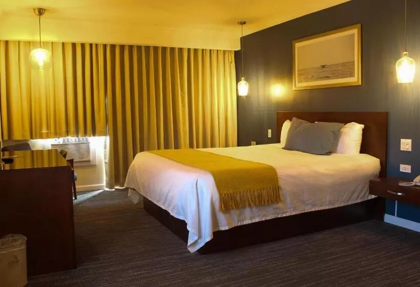 اتاق استاندارد با تخت بزرگ, Corona Hotel & Spa