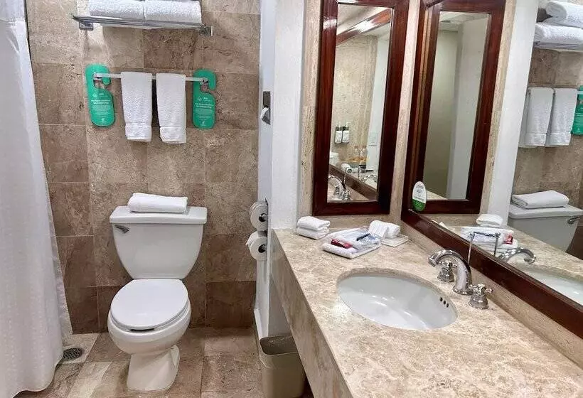 プレミアムルーム, Holiday Inn Merida By Ihg