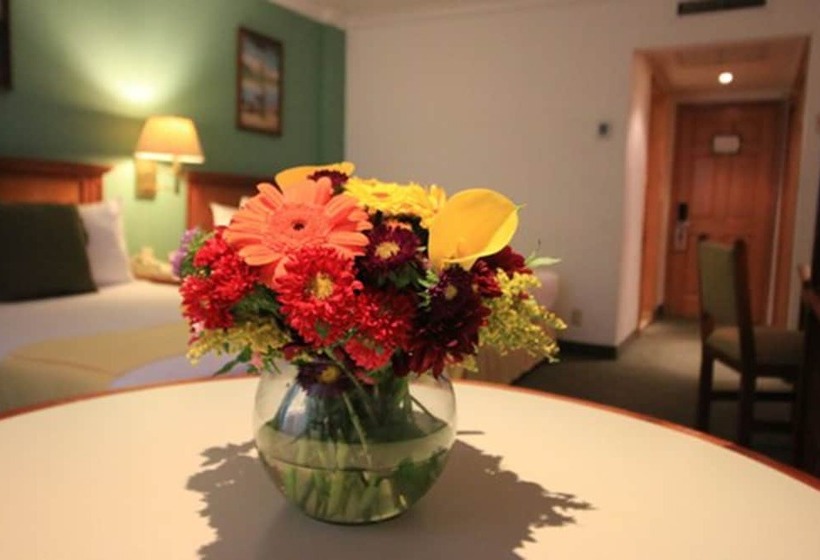 اتاق لوکس, Maria Cristina