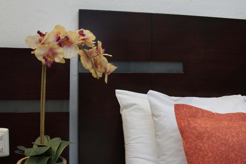 キングサイズベッドのスタンダードルーム, Poza Rica Centro