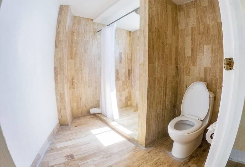 غرفه قياسيه سريرين مزدوجين, Romano Palace