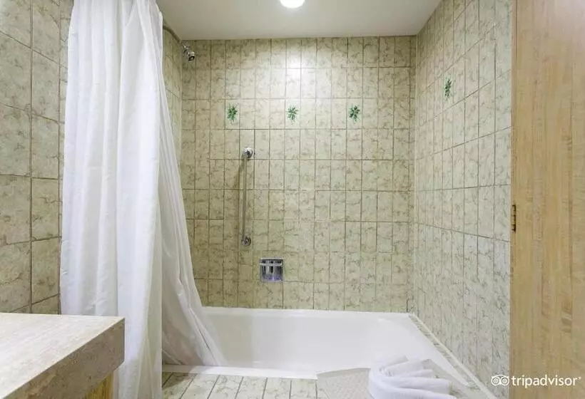 اتاق استاندارد, Royal Reforma