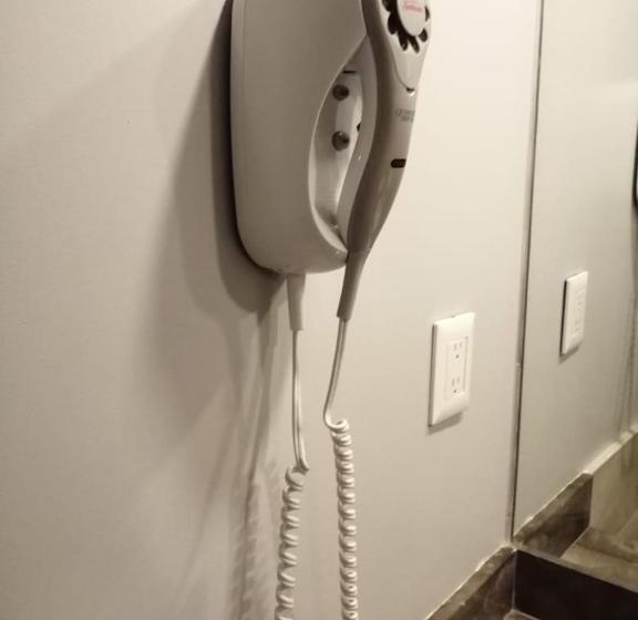 Номер Стандарт, Royal Reforma