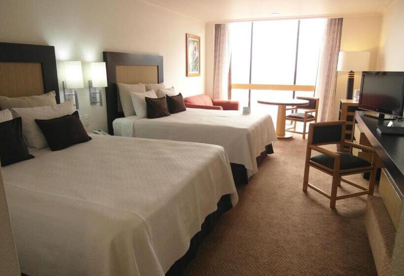 Номер Стандарт, Royal Reforma