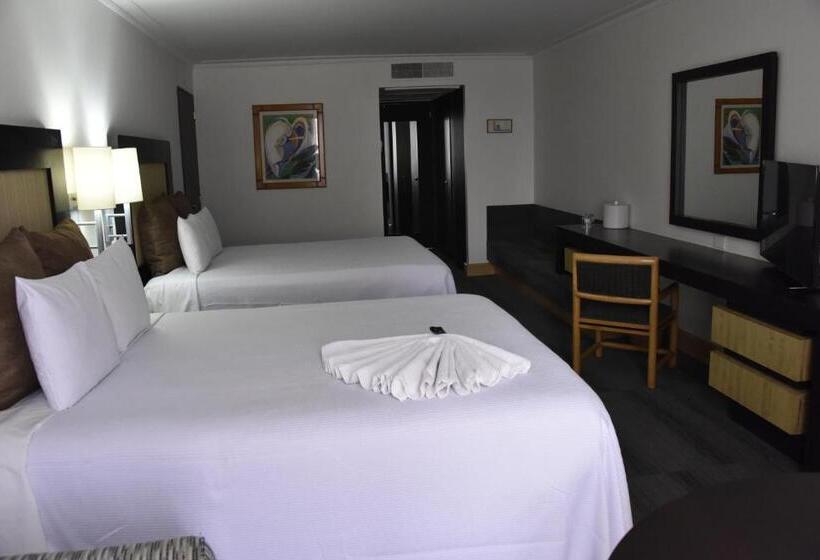 Номер Executive, Royal Reforma