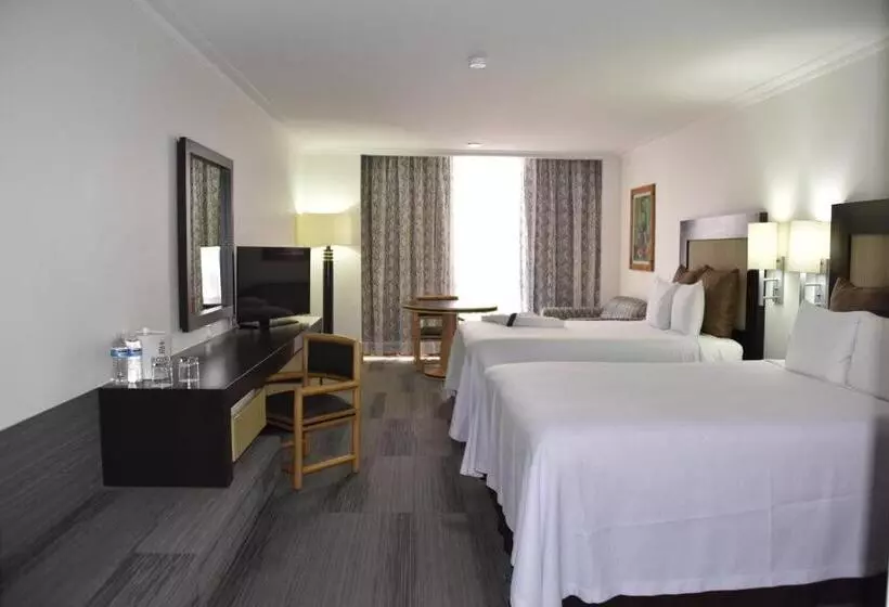 اتاق استاندارد با 2 تخت دوبل, Royal Reforma