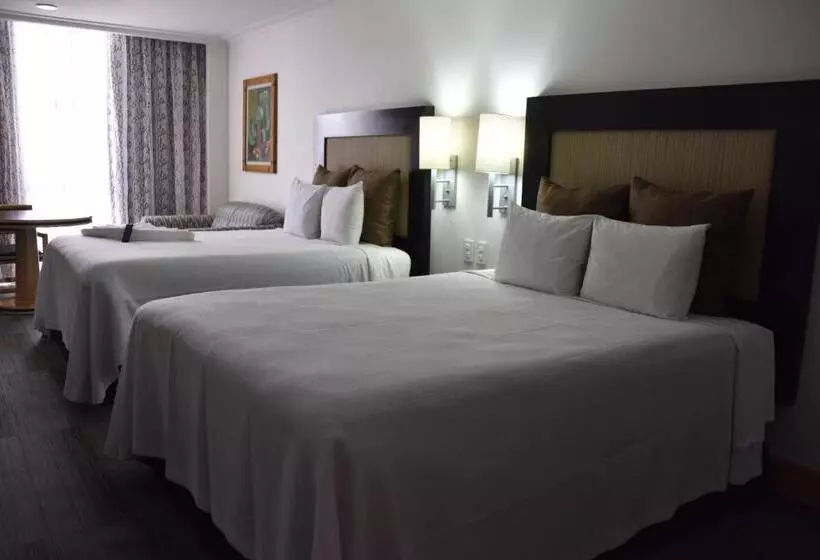 اتاق استاندارد با 2 تخت دوبل, Royal Reforma