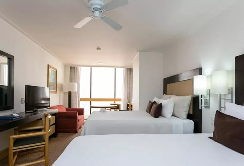 اتاق استاندارد با 2 تخت دوبل, Royal Reforma