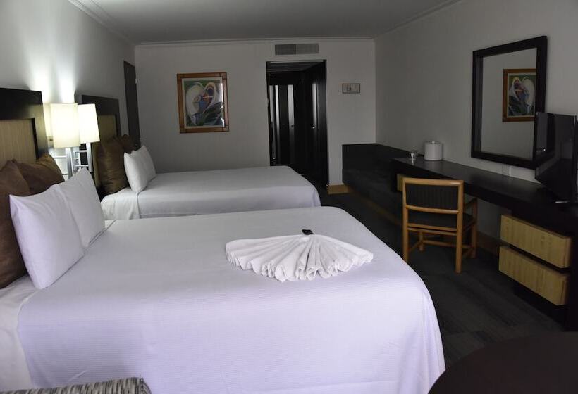 Номер Executive, Royal Reforma