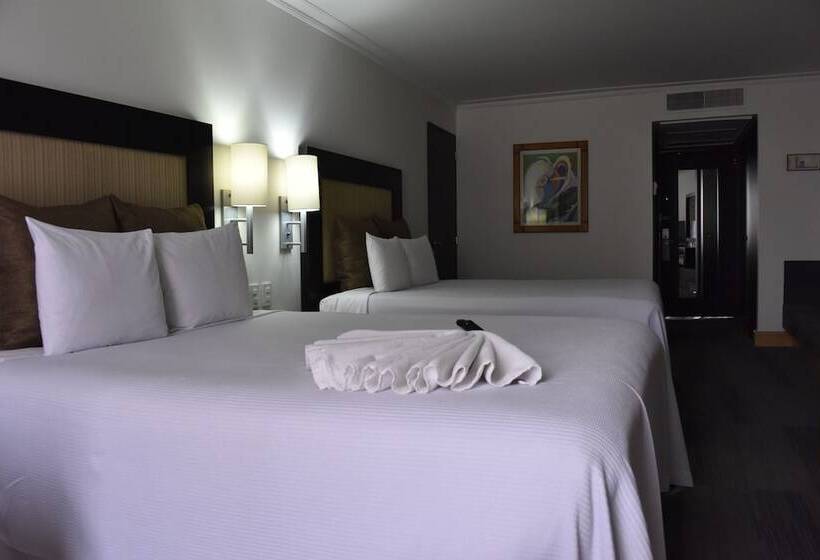 Номер Executive, Royal Reforma