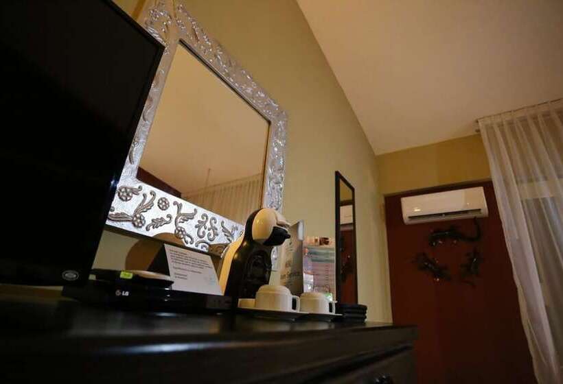 스탠다드 룸 더블 침대 도시 전망, Montetaxco