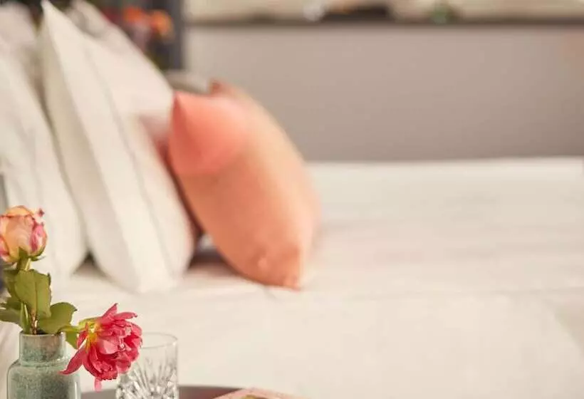 اتاق لوکس, Park Plaza Vondelpark Amsterdam