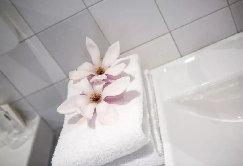 スーペリアールーム, Landgoed Hotel & Restaurant Carelshaven