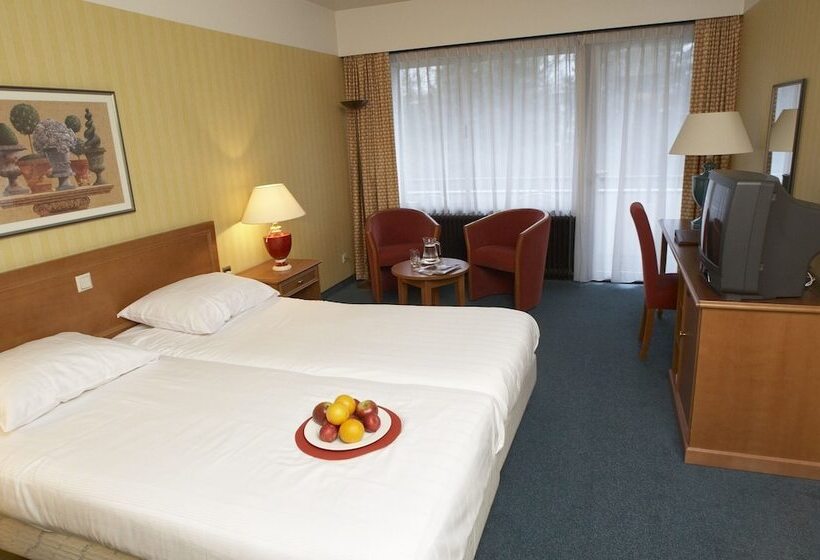Классический Номер, Resort Bad Boekelo
