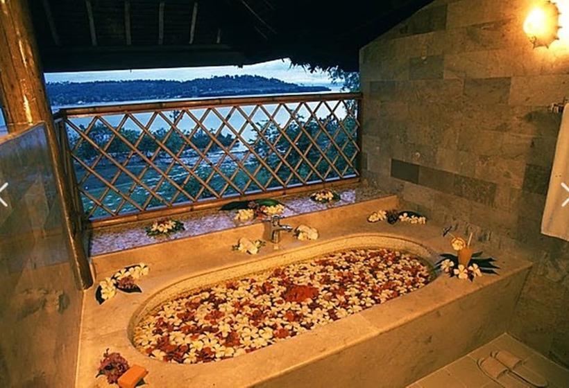 小型套房, Badian Island Wellness Resort