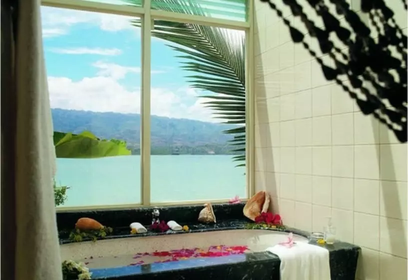 プール付き１ベッドルームヴィラ, Badian Island Wellness Resort