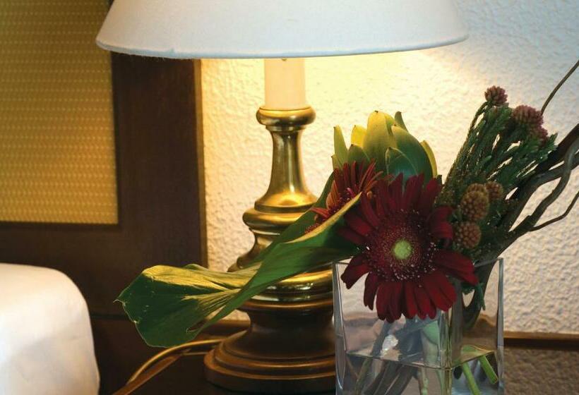 غرفة قياسية, D. Luis