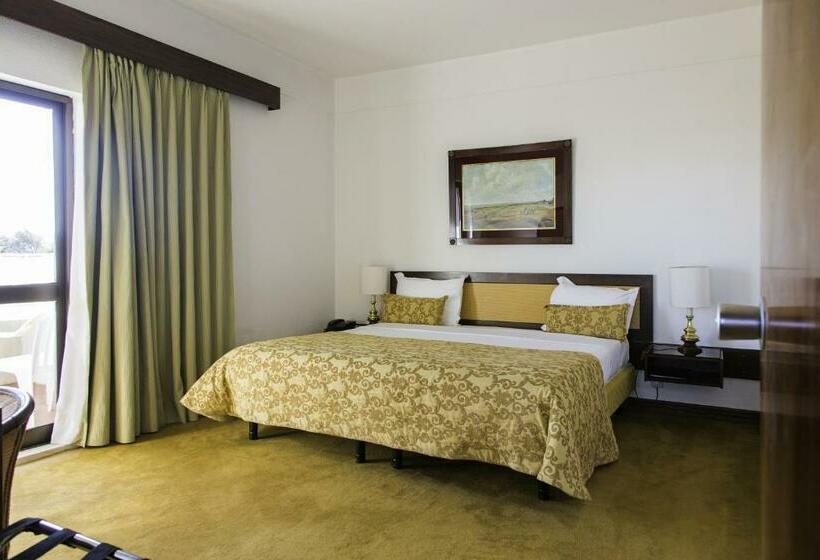 غرفة قياسية مطلة على المدينة, D. Luis