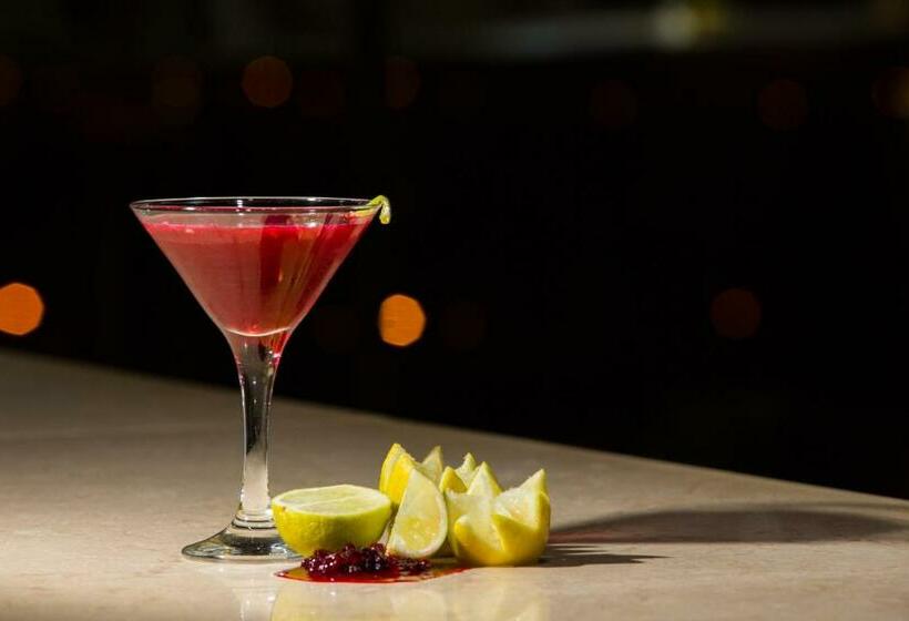 غرفة قياسية مطلة على المدينة, D. Luis