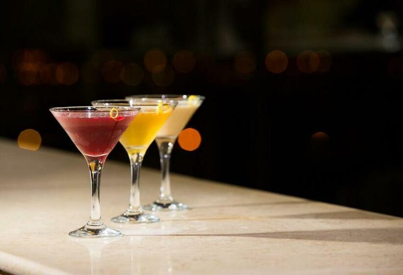 غرفة قياسية مطلة على المدينة, D. Luis