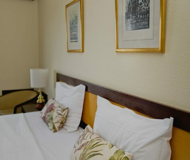 غرفة قياسية مطلة على المدينة, D. Luis