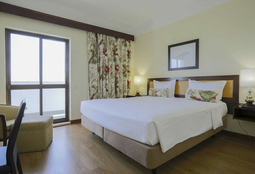 غرفة قياسية مطلة على المدينة, D. Luis