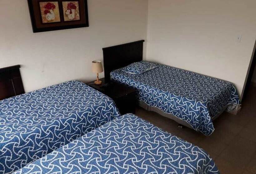 스탠다드 트리플 룸, Doral