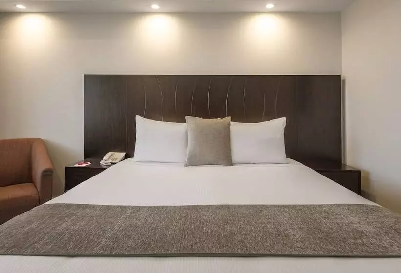 Executive-huone, James Cook Hotel Grand Chancellor