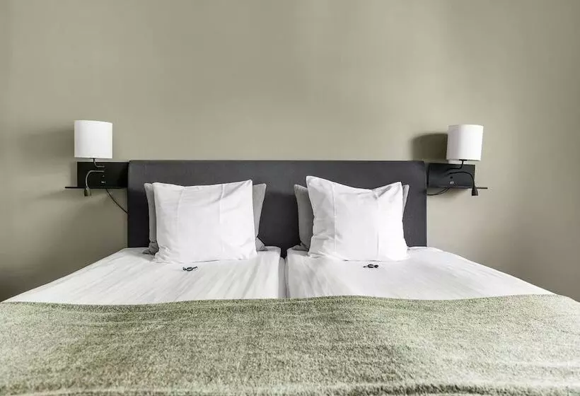 اتاق استاندارد با چشمانداز شهر, Best Western Malmia