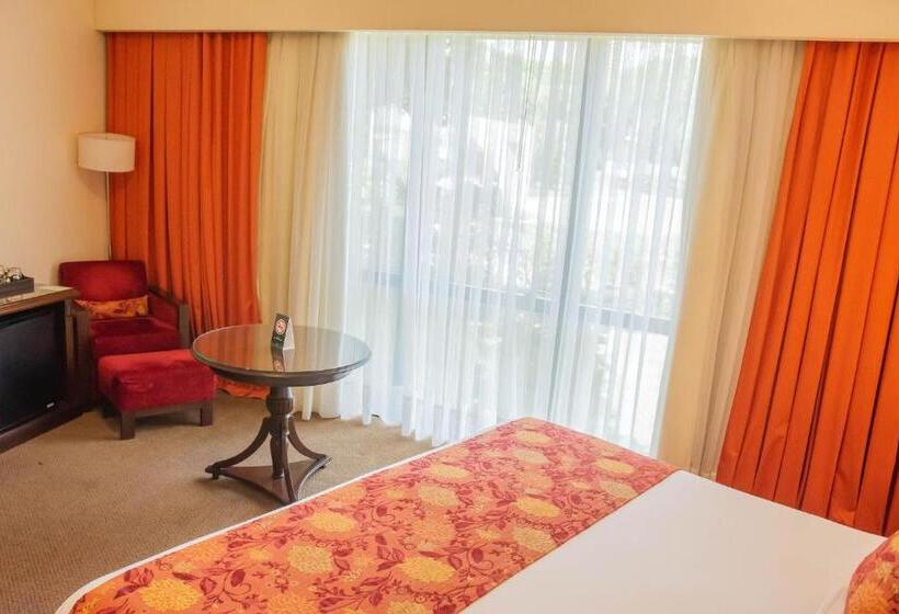 اتاق استاندارد, Casino Acaray