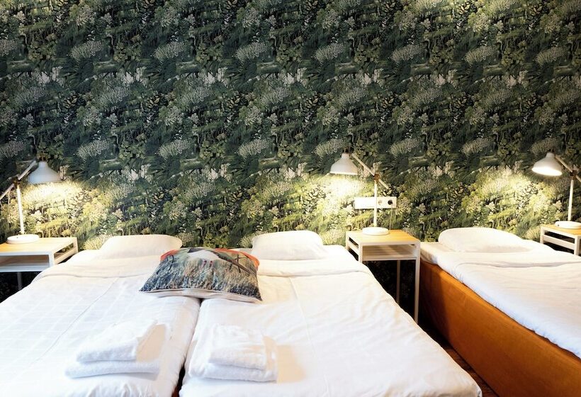 غرفة قياسية رباعية, Finn