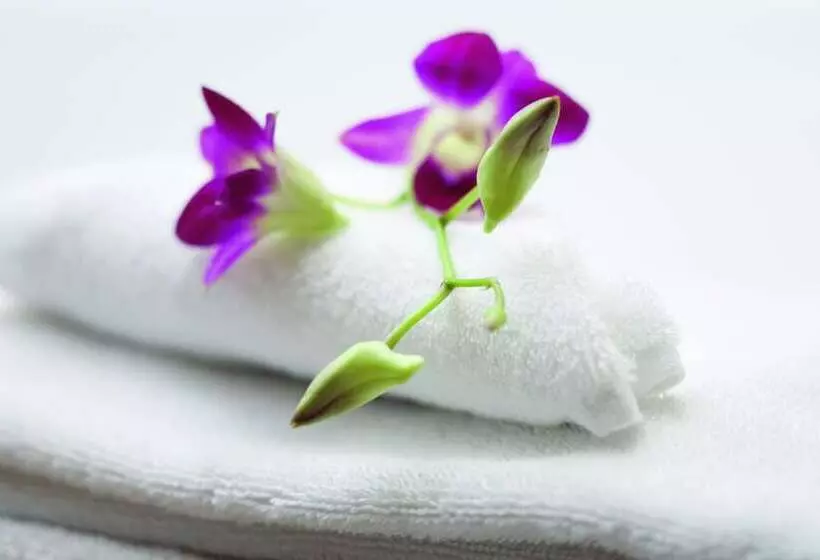 Sviitti, Movenpick Suriwongse Hotel Chiang Mai