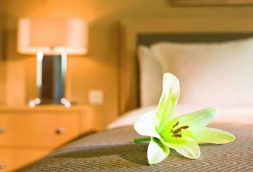 Sviitti, Movenpick Suriwongse Hotel Chiang Mai