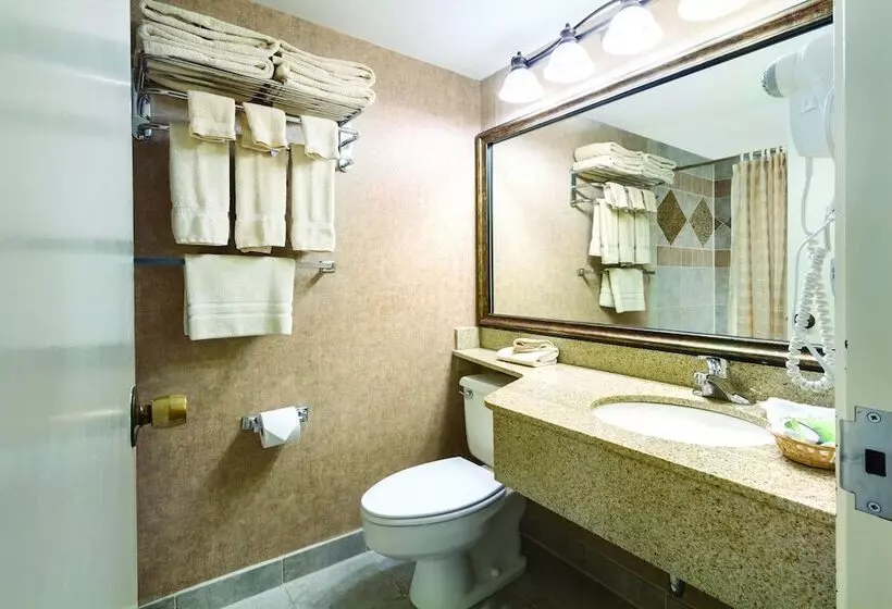デラックスルーム, Arrowwood Resort Hotel And Conference Center   Alexandria