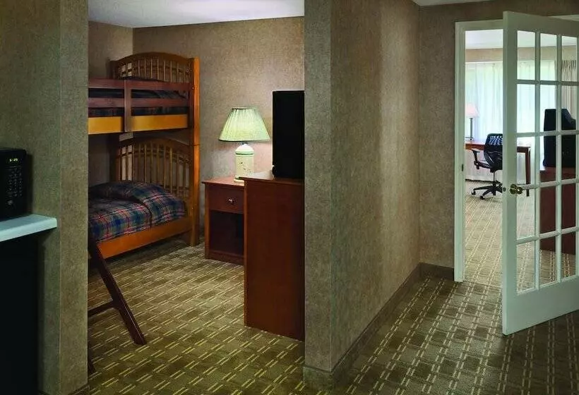 デラックスルーム, Arrowwood Resort Hotel And Conference Center   Alexandria