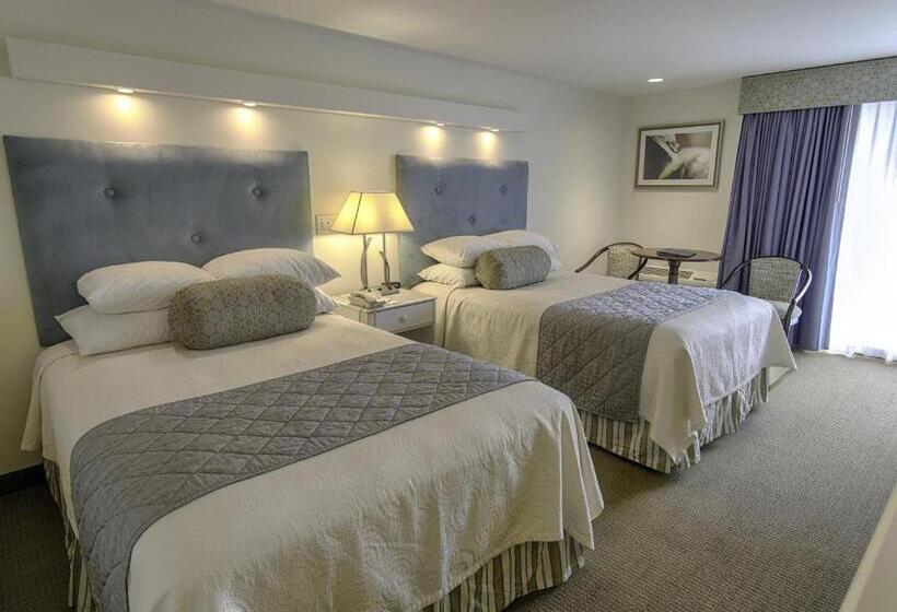 Номер Стандарт 2 Двуспальные Кровати, Anchorage By The Sea