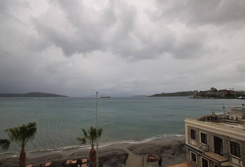 Habitació Economy, Artemis