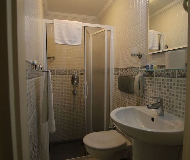 Habitació Economy, Artemis