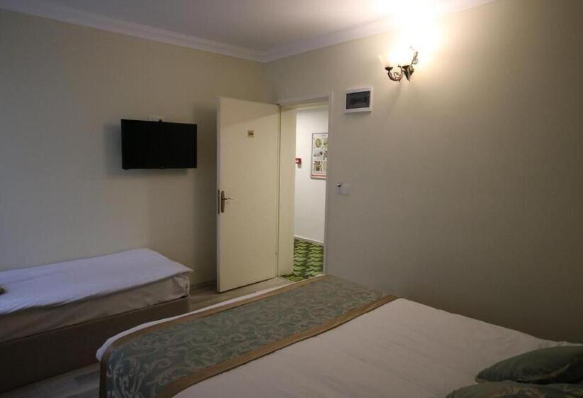 Habitació Economy, Artemis