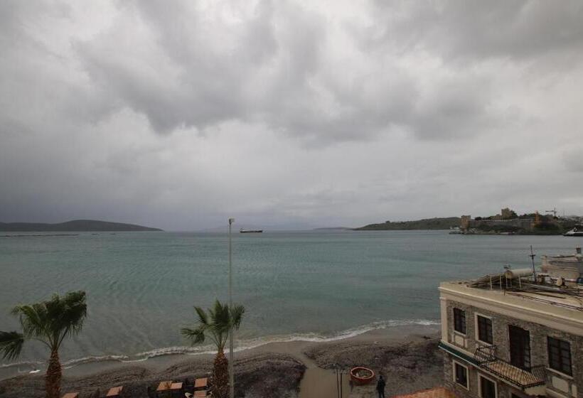 Habitació Economy, Artemis