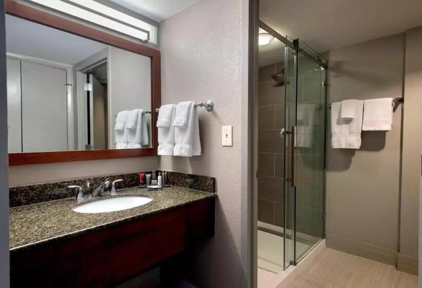 اتاق استاندارد با تخت بزرگ, Marriott Albany