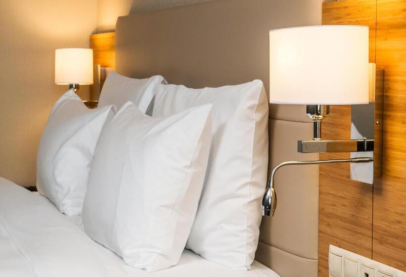 اتاق استاندارد با چشم‌انداز دریا, Radisson Hotel President Old Town Istanbul