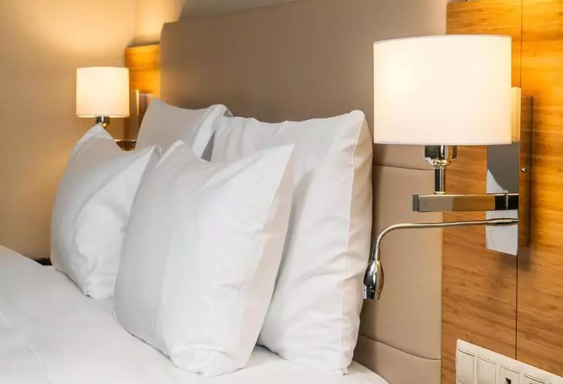 اتاق استاندارد با چشم‌انداز دریا, Radisson Hotel President Old Town Istanbul