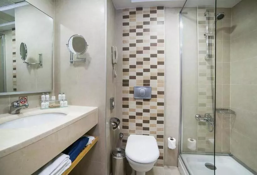اتاق استاندارد با چشم‌انداز دریا, Radisson Hotel President Old Town Istanbul