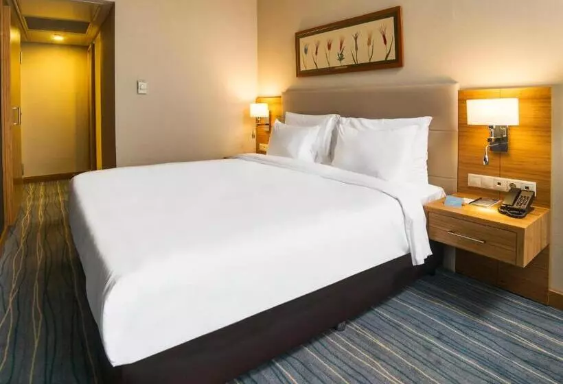 اتاق استاندارد با چشم‌انداز دریا, Radisson Hotel President Old Town Istanbul