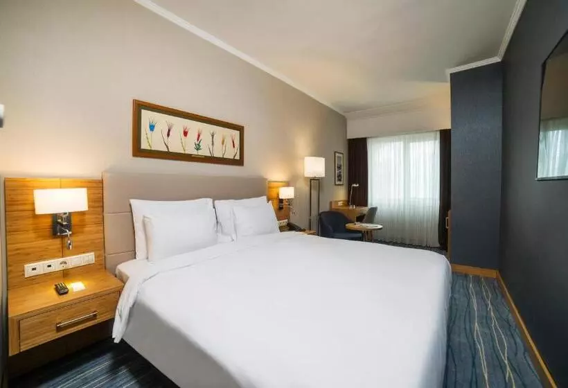 اتاق استاندارد با چشم‌انداز دریا, Radisson Hotel President Old Town Istanbul