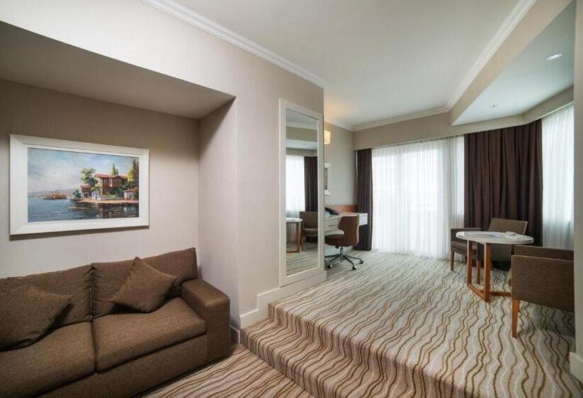 سوییت با چشم‌انداز دریا, Radisson Hotel President Old Town Istanbul
