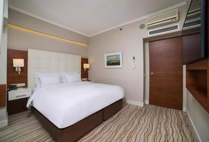اتاق سوپریور با چشم‌انداز دریا, Radisson Hotel President Old Town Istanbul