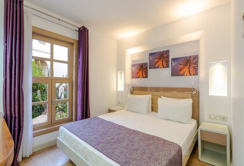 اتاق اکونومی, Puding