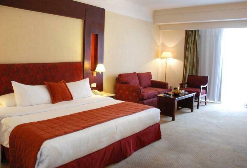 اتاق لوکس, Safir Hotel Cairo